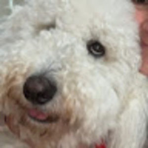 Meet your Posher, Cathy